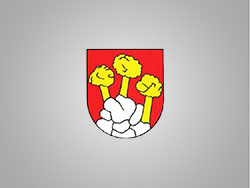 Zasadnutie OZ