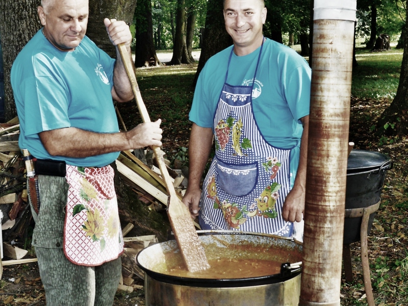 Dni Mikroregiónu pod Mošníkom 