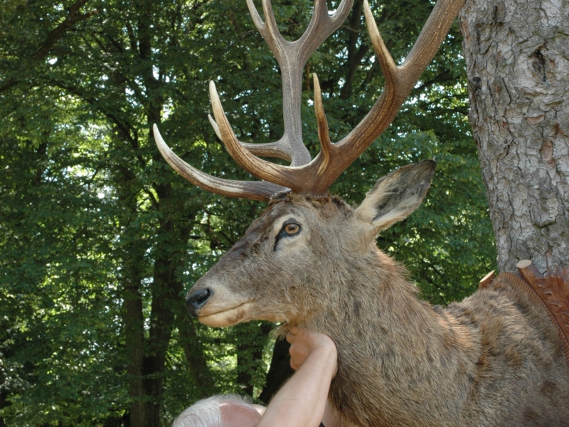 Poľovnícky deň 2019