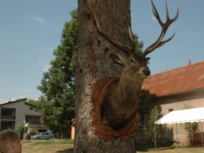 Poľovnícky deň 2019