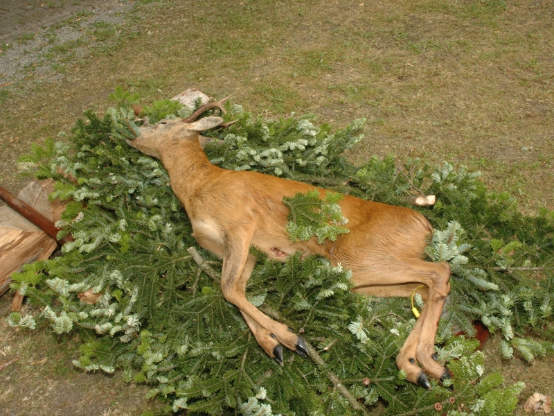 Poľovnícky deň 2019