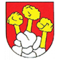 Obecné zastupiteľstvo