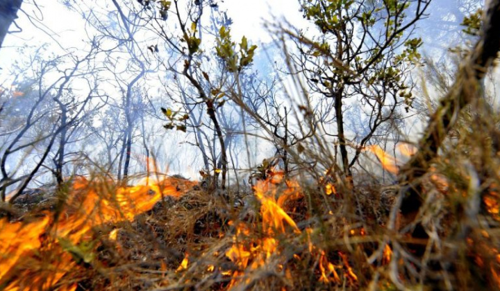 Fotka - Vyhlásenie času zvýšeného nebezpečenstva vzniku požiaru